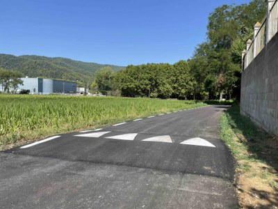 Banyoles ja ha executat 39 obres durant aquest any