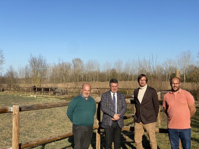 El Consorci de l’Estany impulsa una prova pilot de gestió d’aiguamolls a través de la pastura amb búfals d’aigua