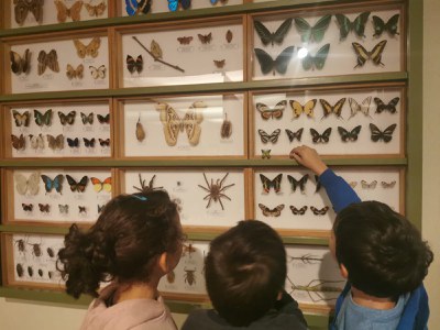 Els Museus de Banyoles reben més de 23.000 visites escolars