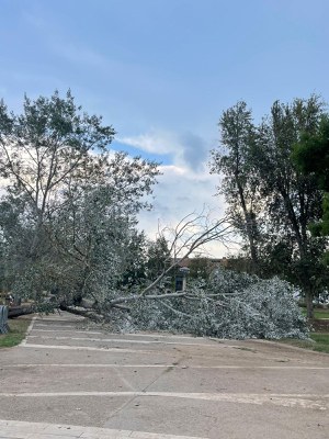 La tempesta de dissabte provoca la caiguda d’arbres i branques a Banyoles