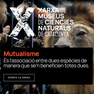 La Xarxa de Museus de Ciències Naturals de Catalunya estrena pàgina web