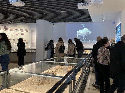Museus de Banyoles organitza una nova visita guiada gratuïta al nou Museu Arqueològic